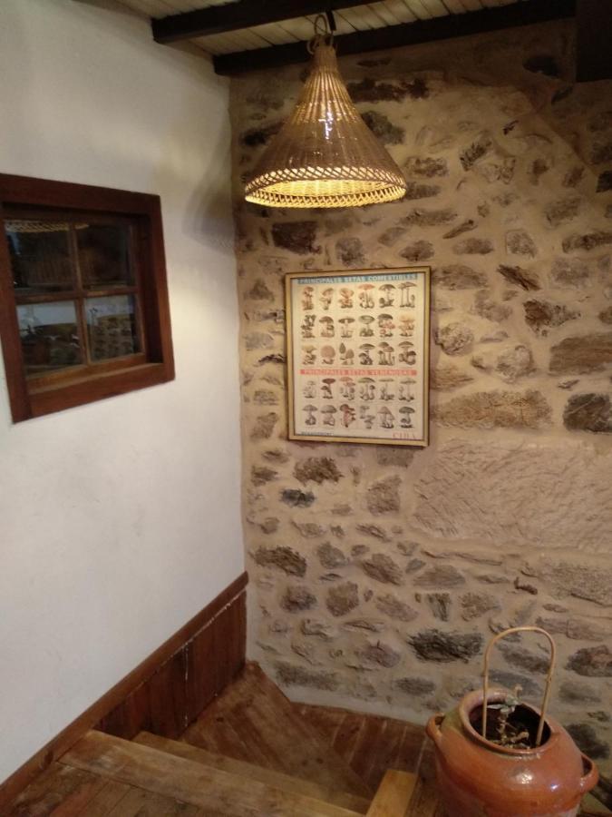 Casa Ribeira Sacra, Ourense, Ninodaguia, Galicia Exterior photo